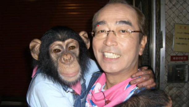 打ち切り 志村 動物園
